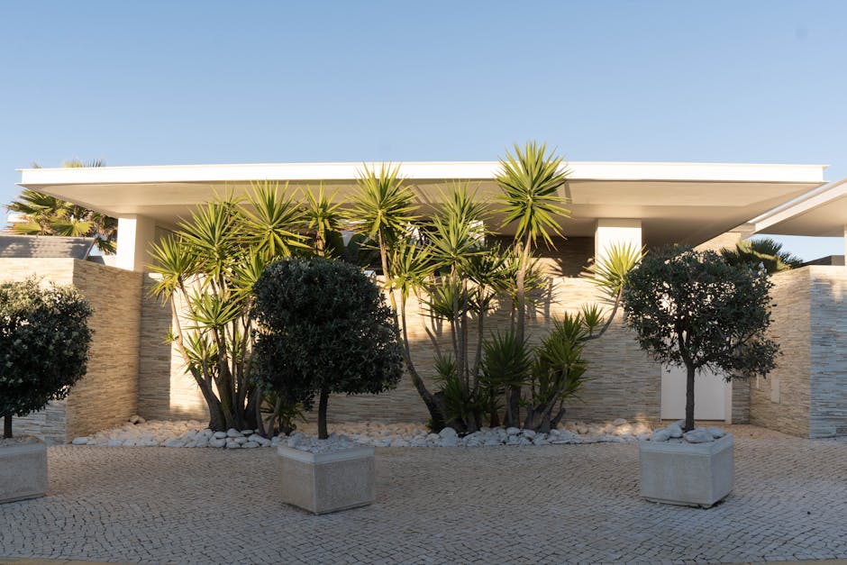 Contemporary house in Nazaré, Portugal, featuring tropical plants and stone facade